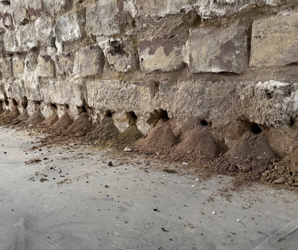 Forage des murs pour injection contre les remontées capillaires